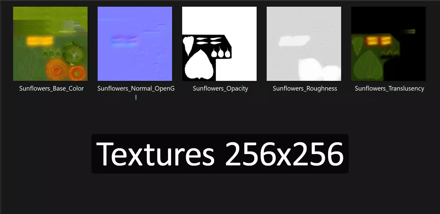 Sunflower  Free low-poly 3D model_6