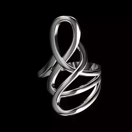 twisted ring 3D print model