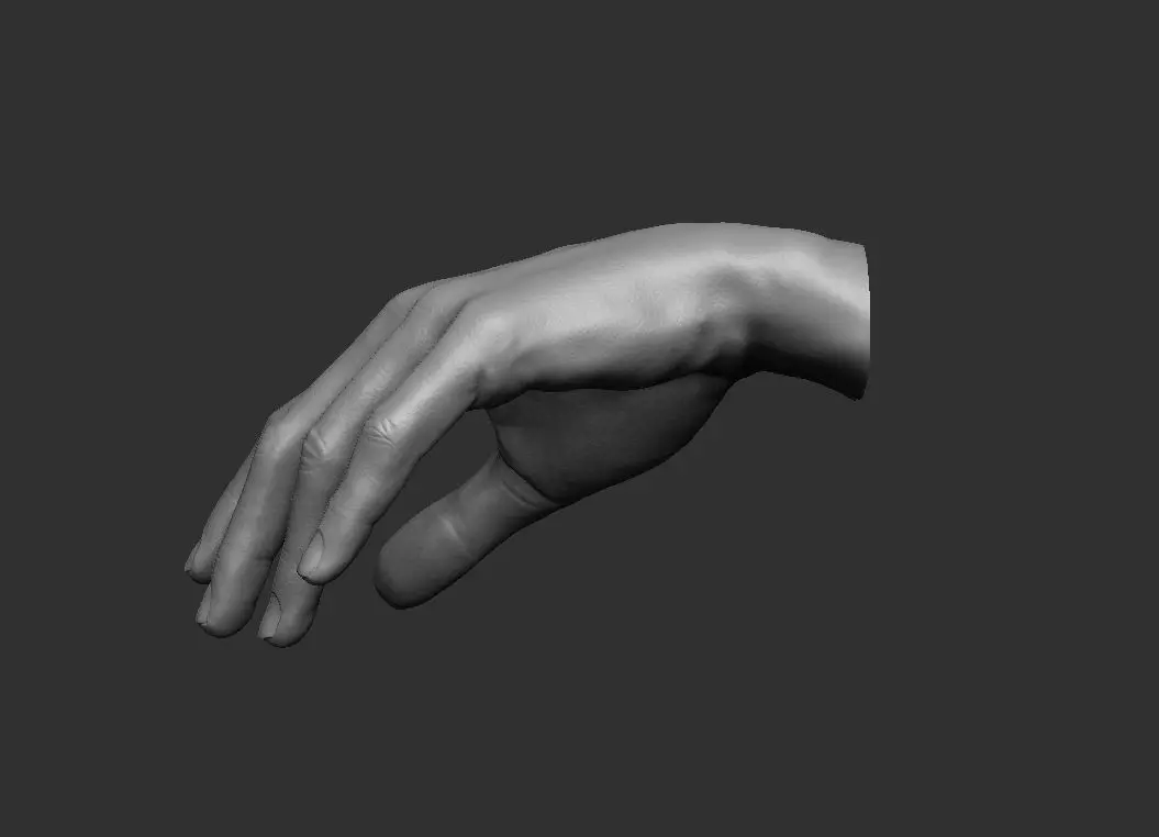 Hand pose 4 3D print model