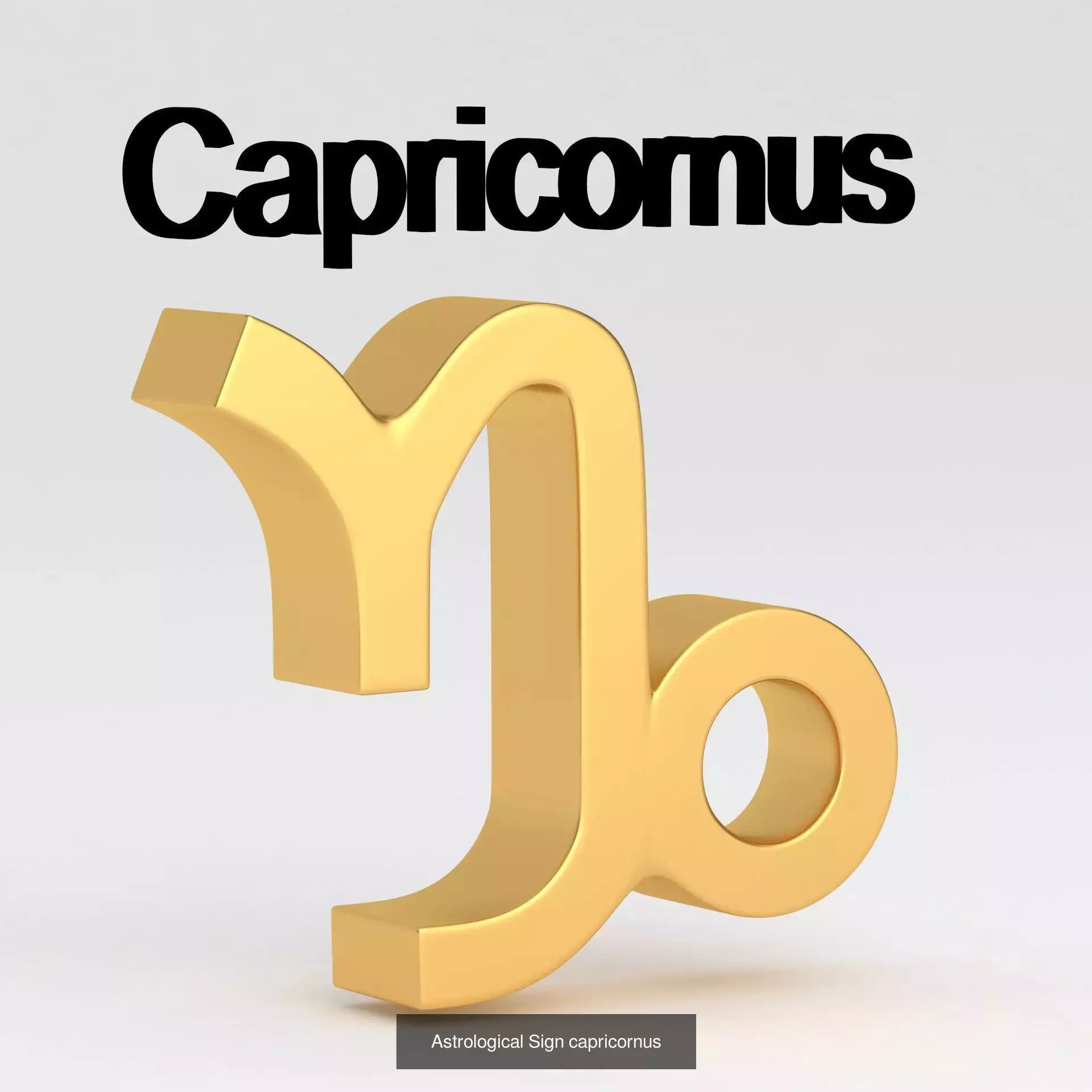 Astrological Sign Collection _5