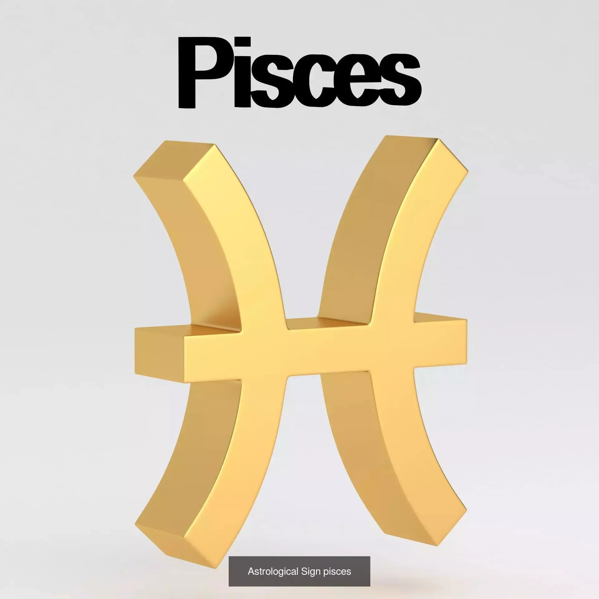 Astrological Sign Collection _9