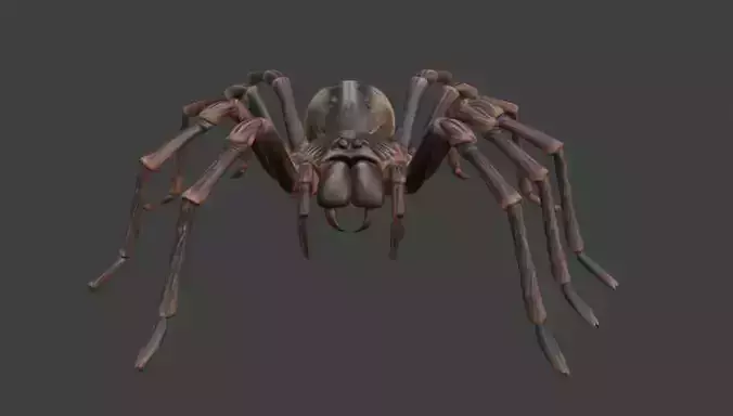 Giant Tarantula 3D Model