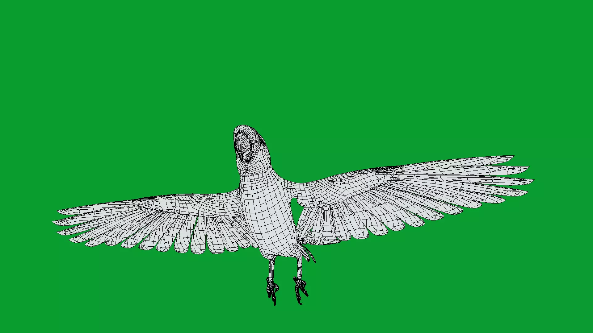 Scarlet Macaw Parrot Low-poly 3D model_28