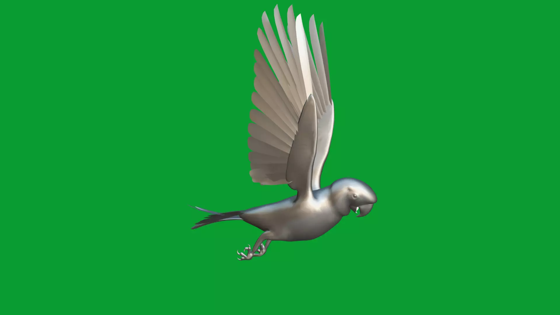 Scarlet Macaw Parrot Low-poly 3D model_17