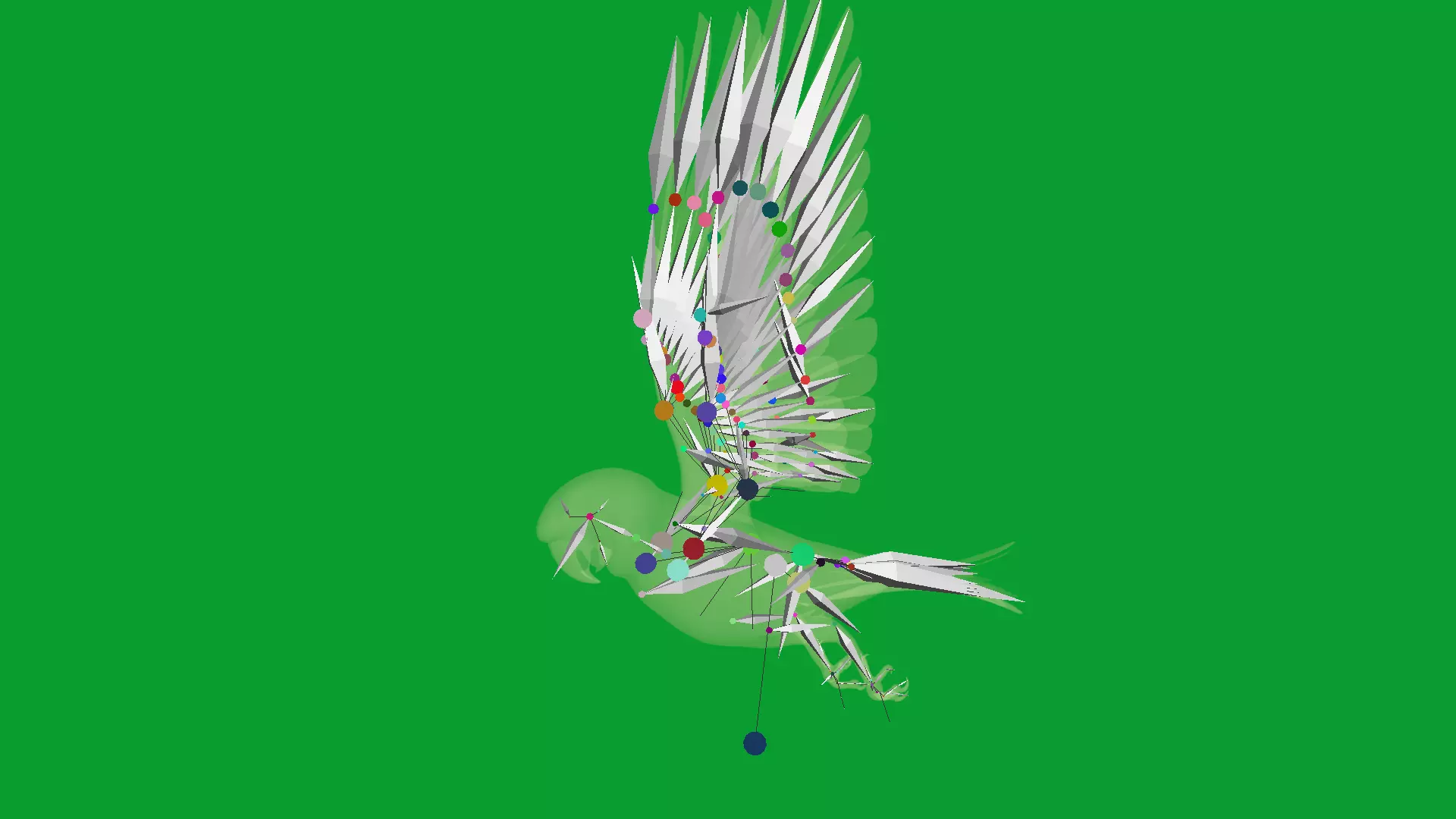 Scarlet Macaw Parrot Low-poly 3D model_27