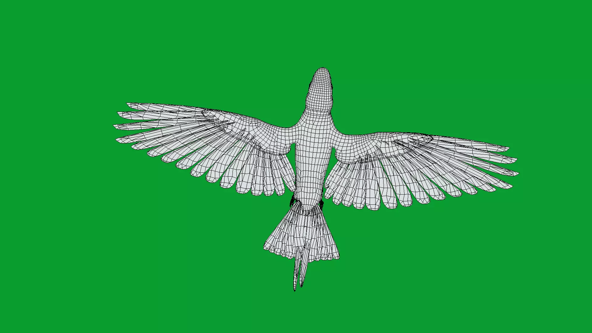 Scarlet Macaw Parrot Low-poly 3D model_20