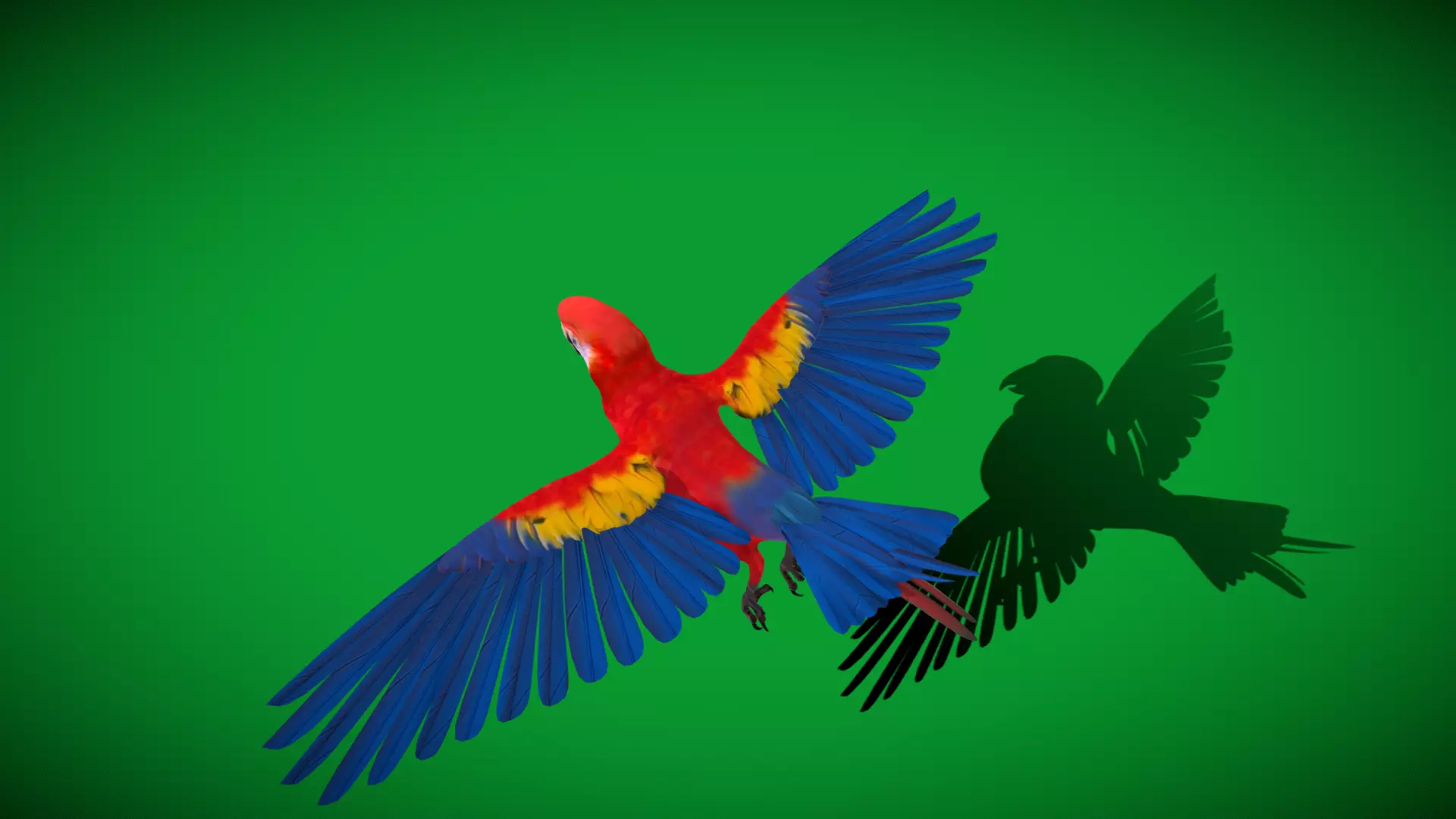 Scarlet Macaw Parrot Low-poly 3D model_35