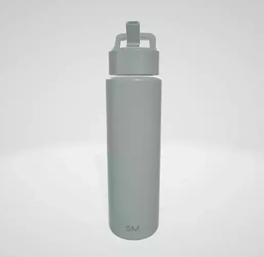 Simple Modern Water Bottle with Straw Lid