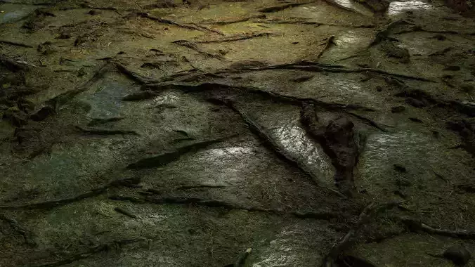 Forest Floor 8K PBR Texture Texture
