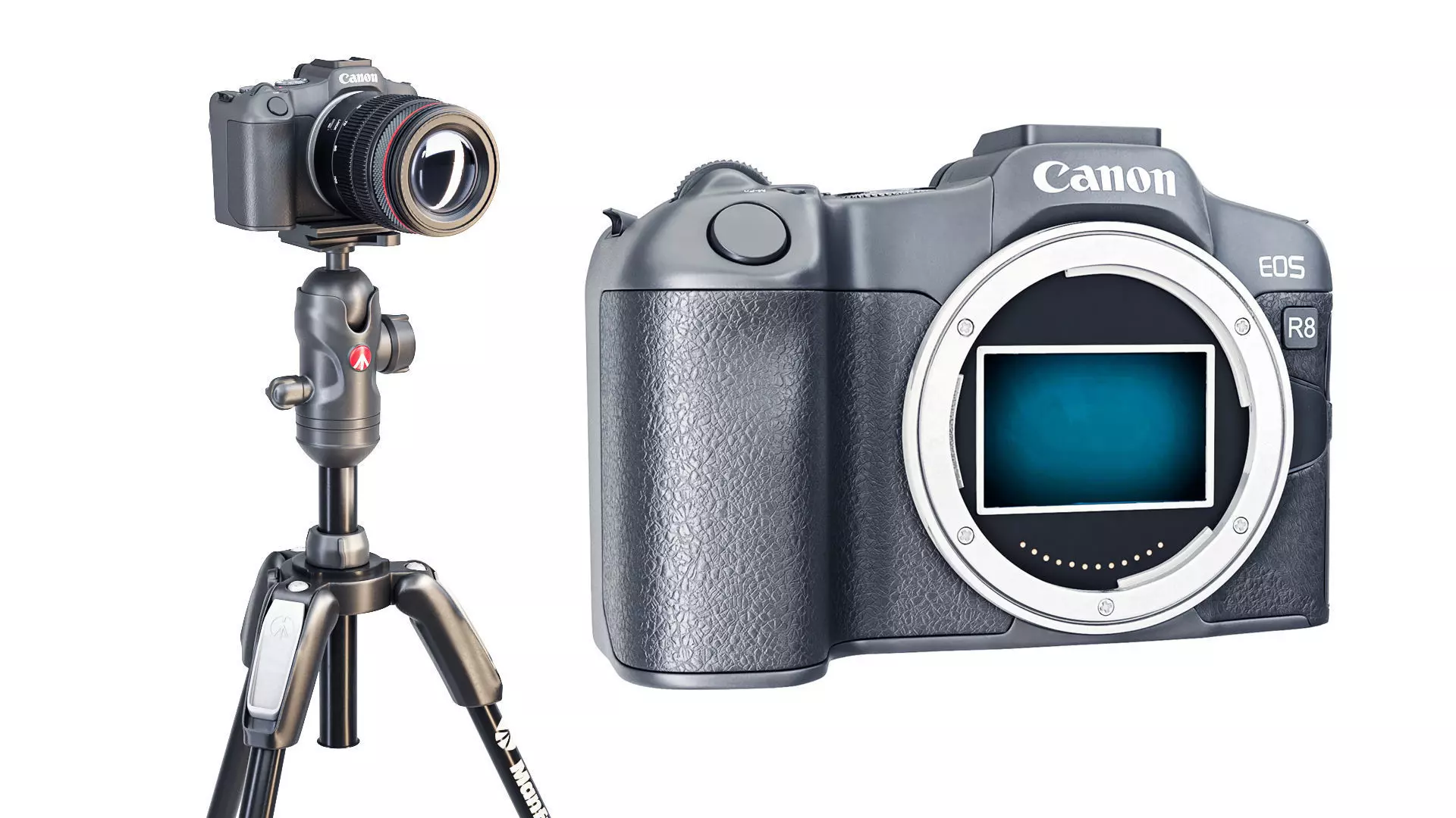 Canon EOS R8 Camera 3D model_1