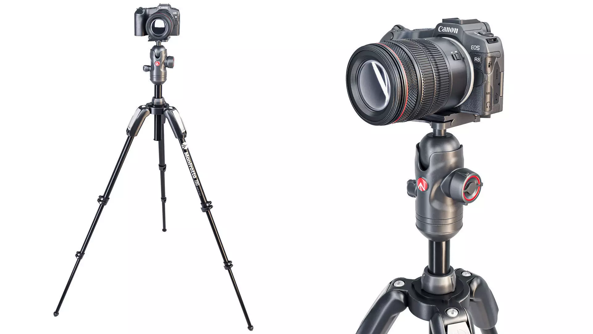 Canon EOS R8 Camera 3D model_0