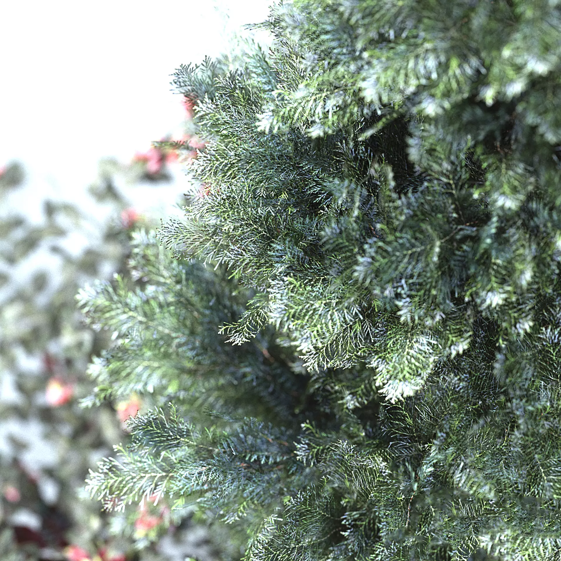 The last day of Summer 3D model_1