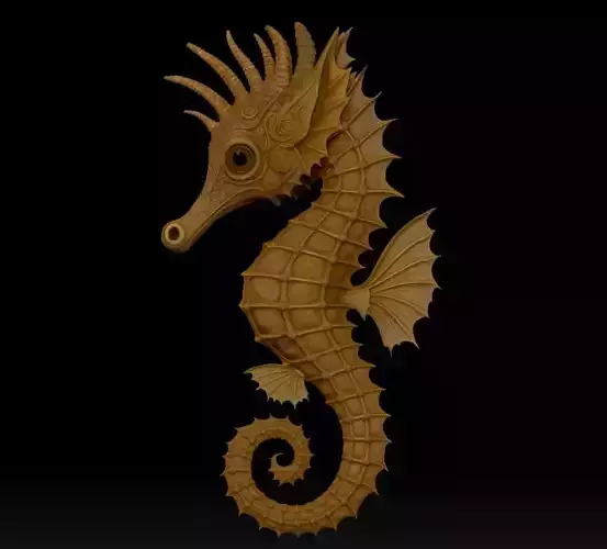 seahorse 