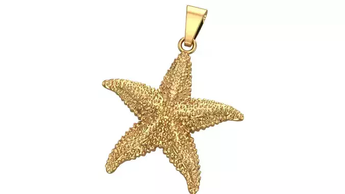 Starfish Pendant