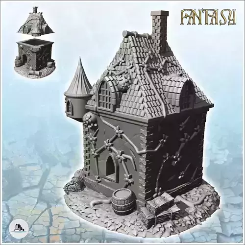 Medieval house with green walls and fireplace 2 - Medieval Fanta