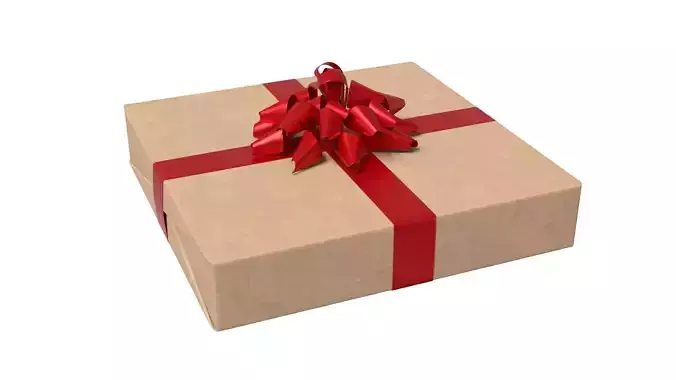 Wrapped Gift Box PBR 06 3D model