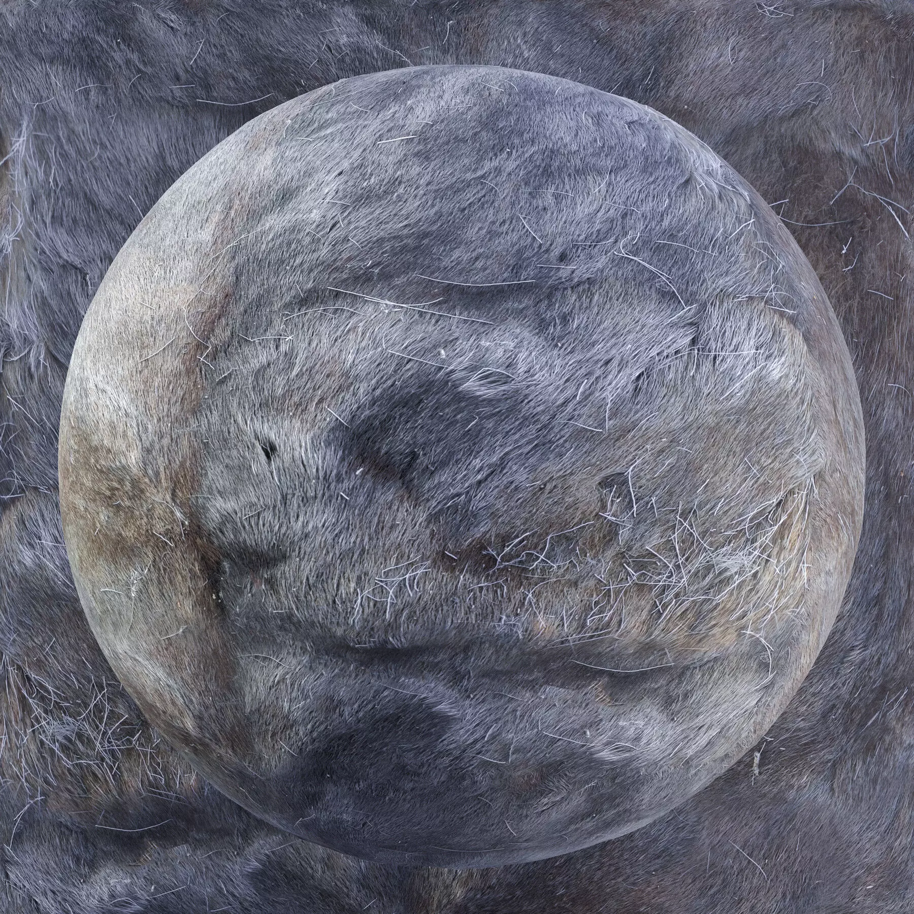 Reindeer Fur Bundle - 11 Materials - 8K Texture_9