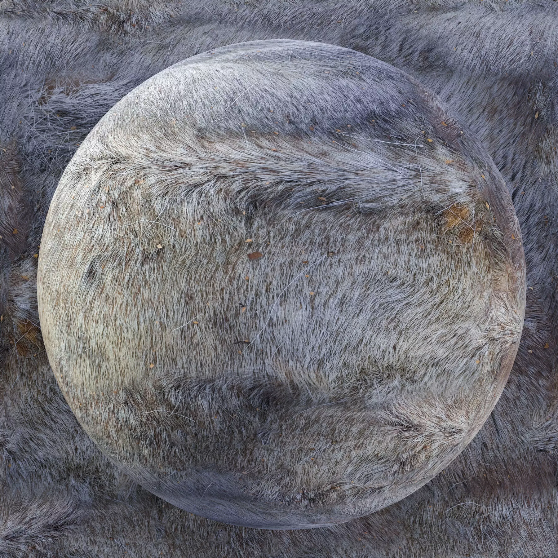 Reindeer Fur Bundle - 11 Materials - 8K Texture_8