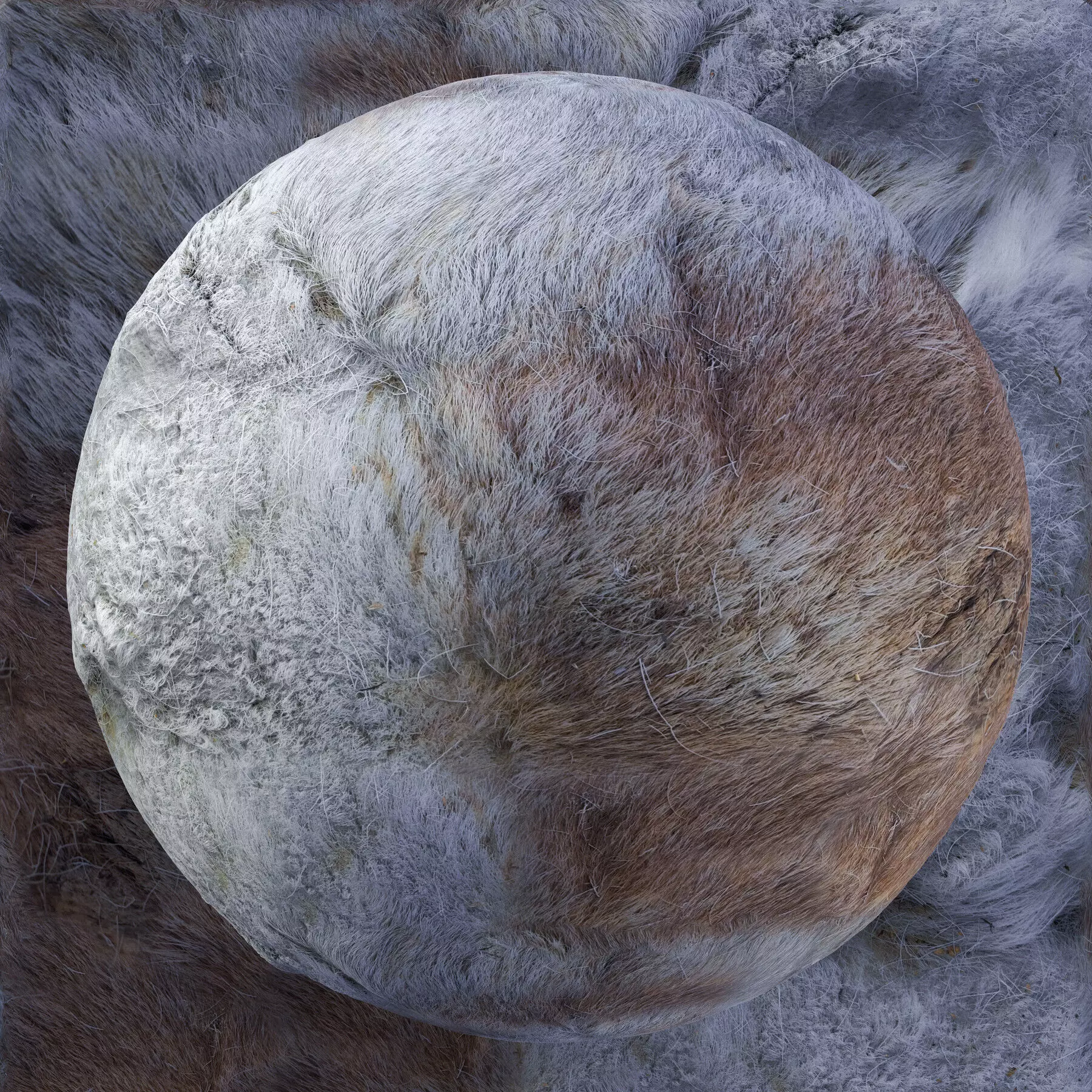 Reindeer Fur Bundle - 11 Materials - 8K Texture_11