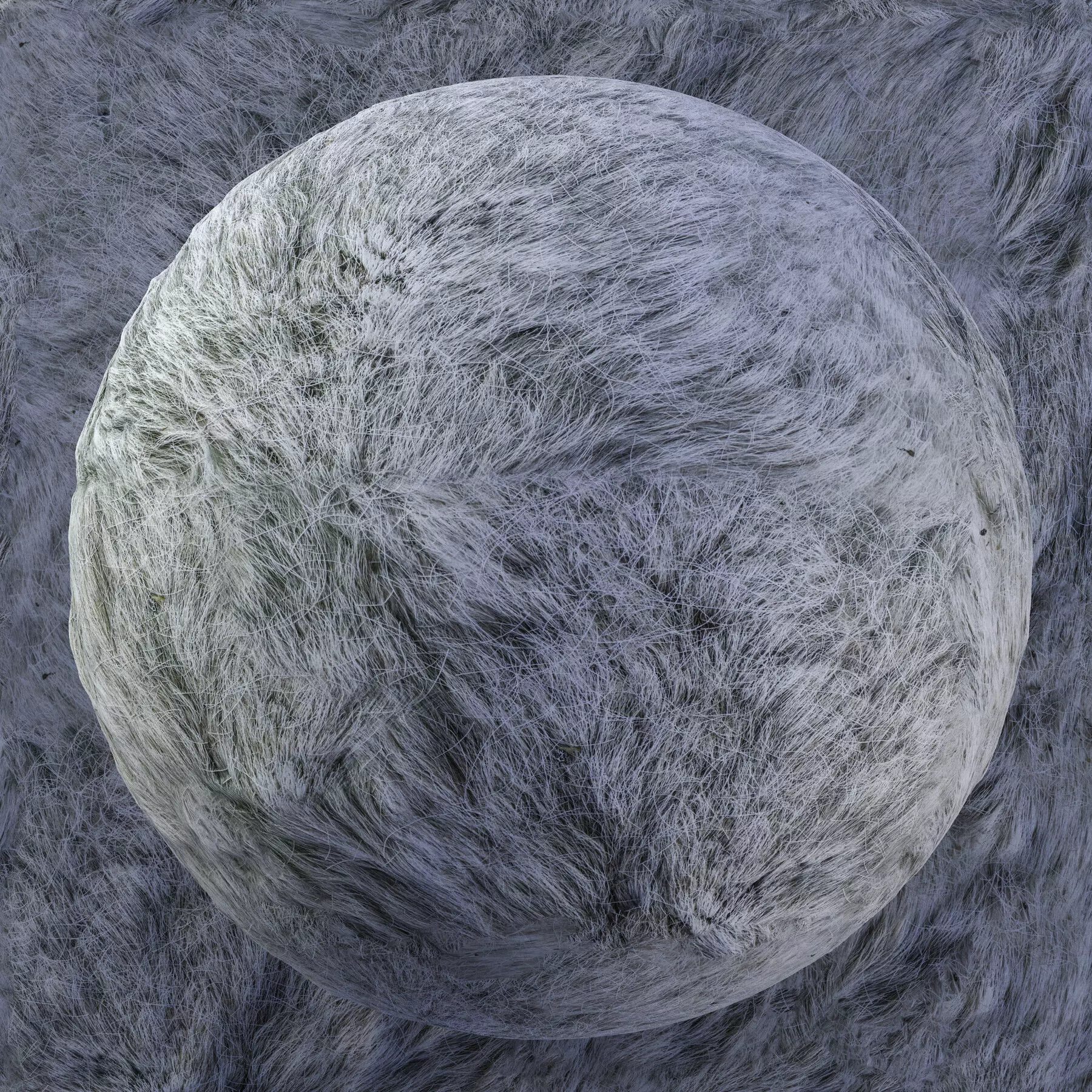 Reindeer Fur Bundle - 11 Materials - 8K Texture_4