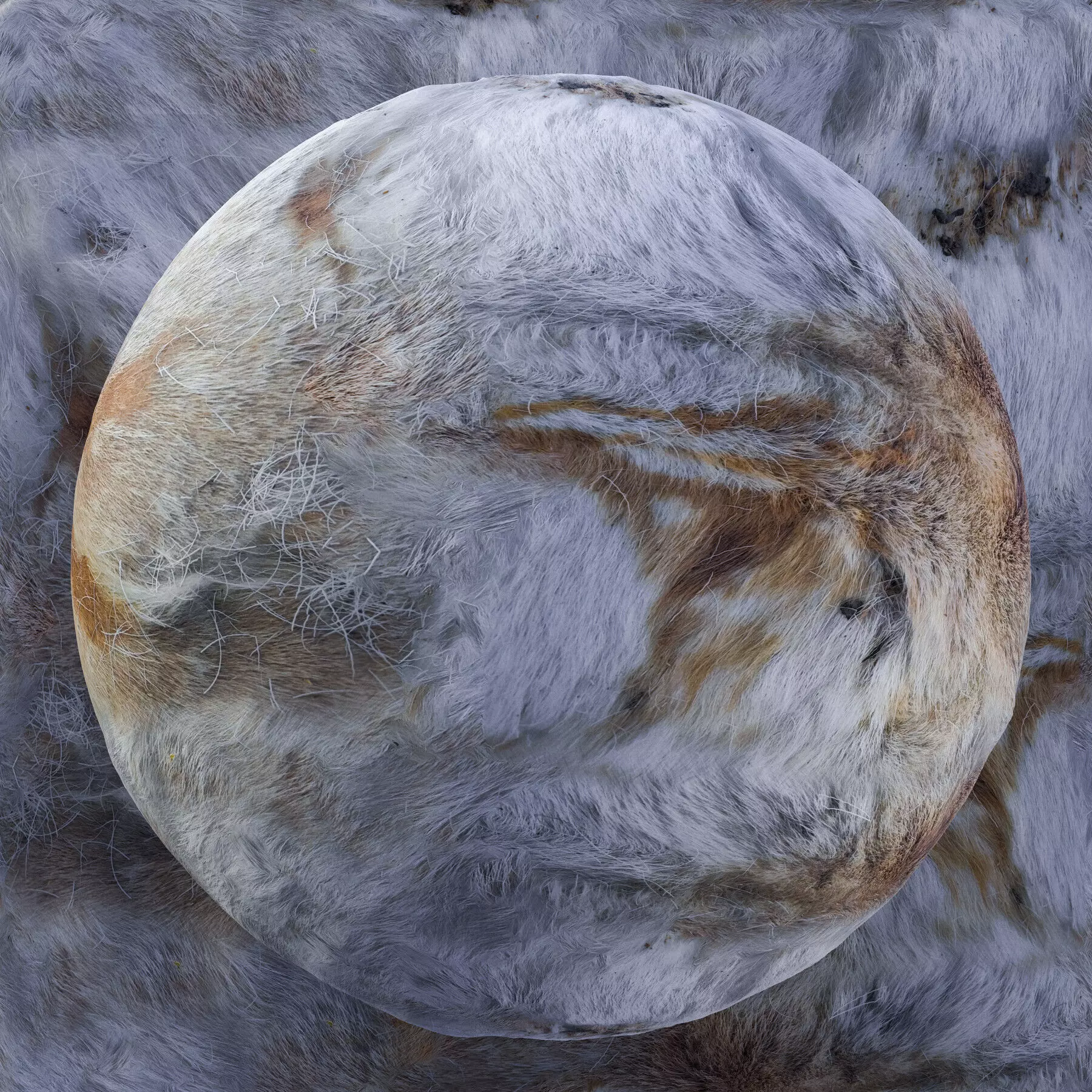 Reindeer Fur Bundle - 11 Materials - 8K Texture_3