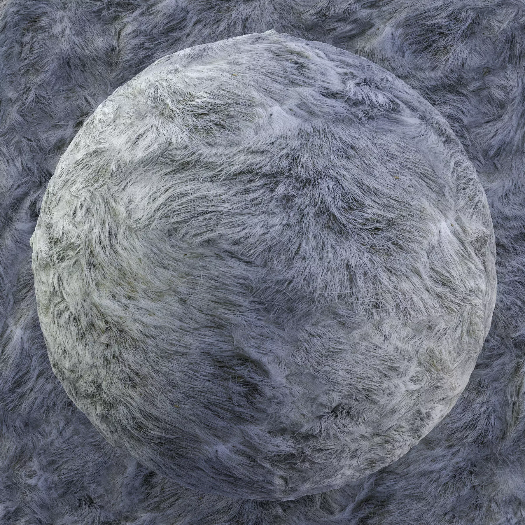 Reindeer Fur Bundle - 11 Materials - 8K Texture_6