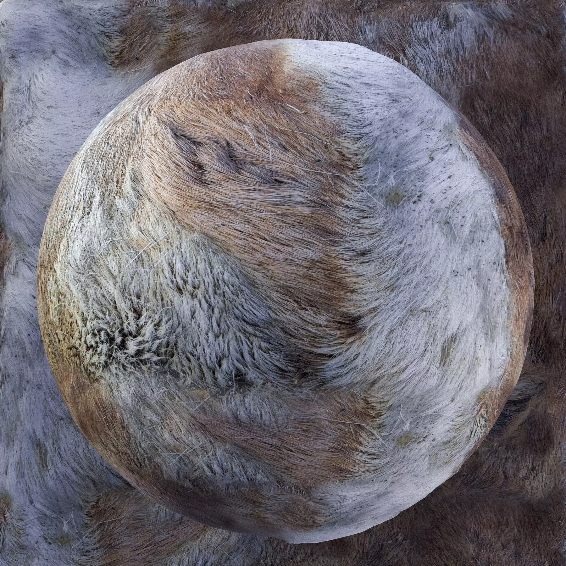 Reindeer Fur Bundle - 11 Materials - 8K Texture_10