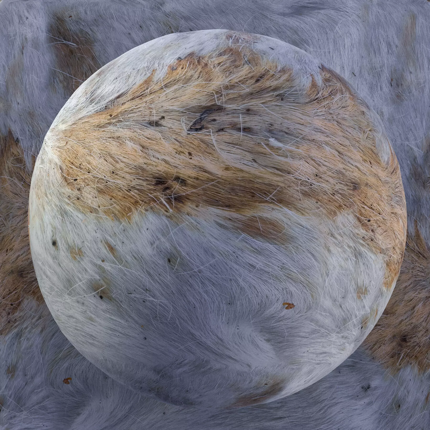 Reindeer Fur Bundle - 11 Materials - 8K Texture_7