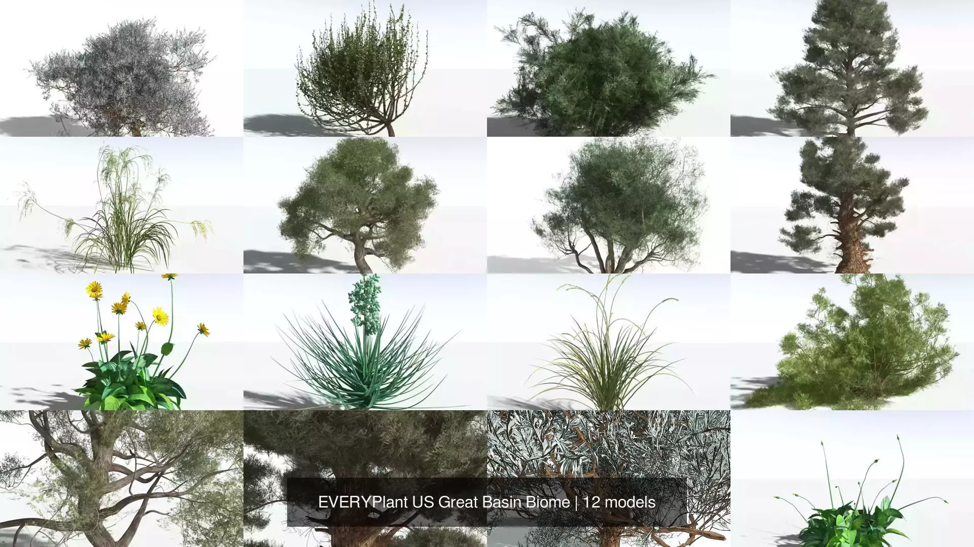 EVERYPlant US Great Basin Biome 3D Model Collection_0