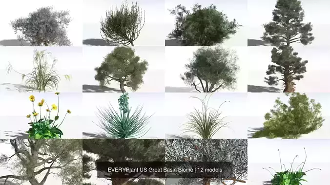 EVERYPlant US Great Basin Biome