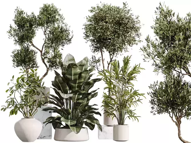 AV Indoor Plants Set 388