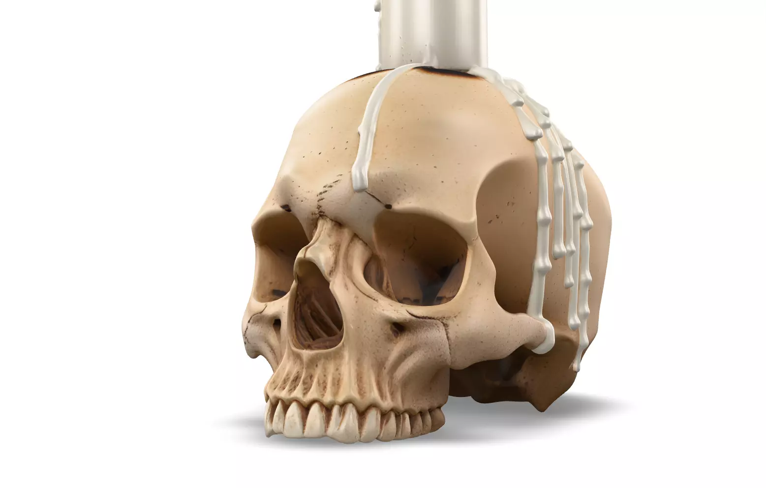 Halloween 3D Props Pack HIGH And Low Poly Low-poly 3D model_3