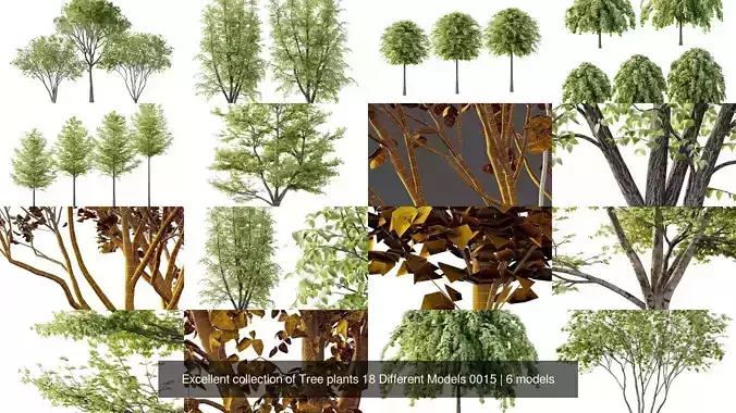 Excellent collection of Tree plants 18 Different Models 0015