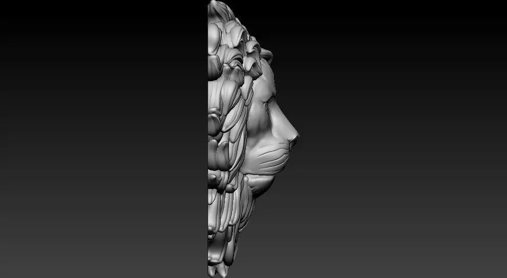 Lion Face 3D print model_2