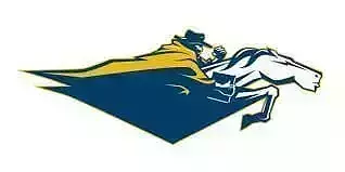 North Carolina Wesleyan Battling Bishop LOGO 3D print model