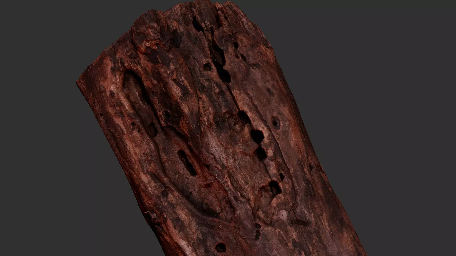 Withered piece of tree wood 3d scan highpoly 3D model_16