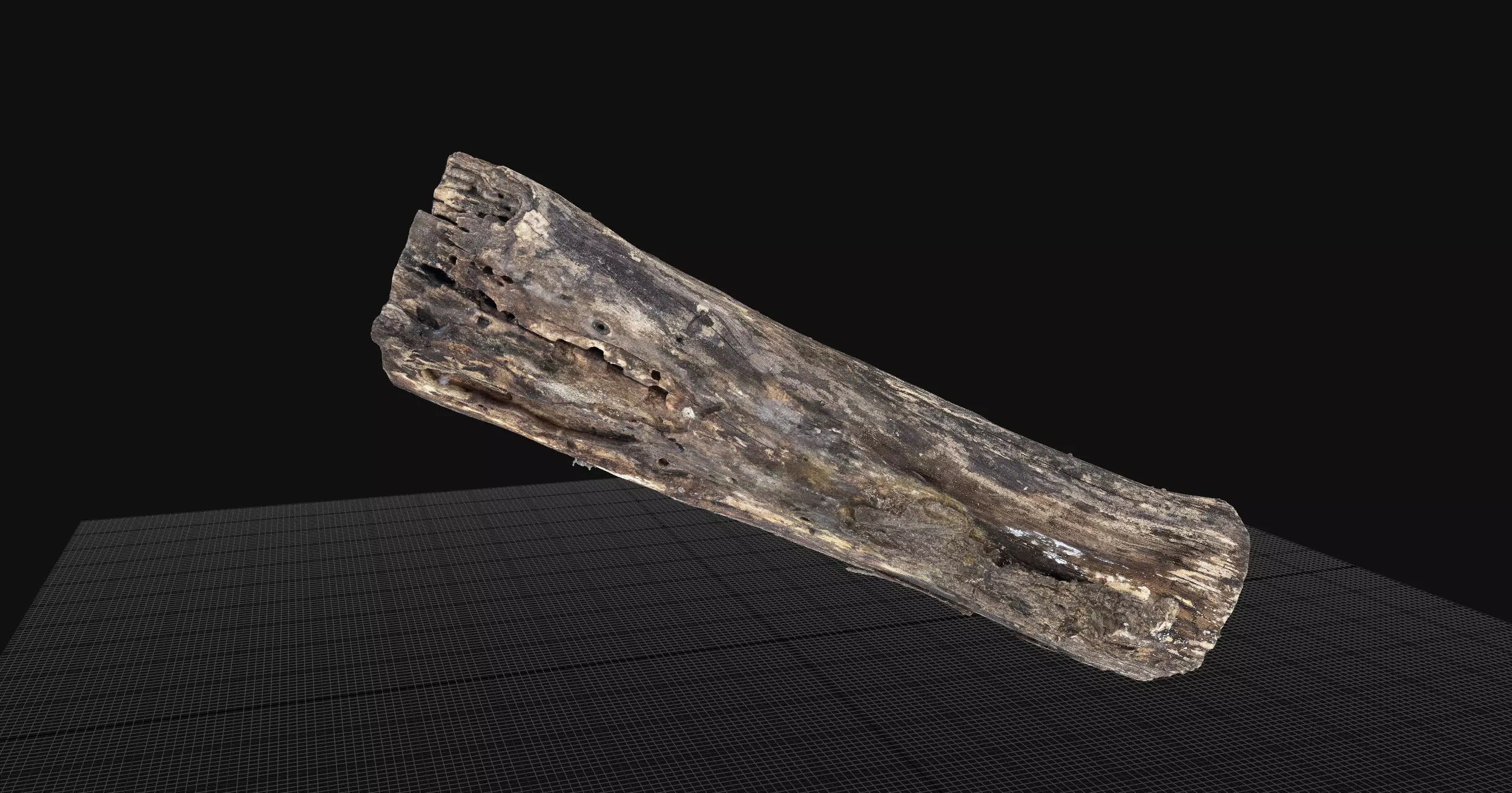 Withered piece of tree wood 3d scan highpoly 3D model_3