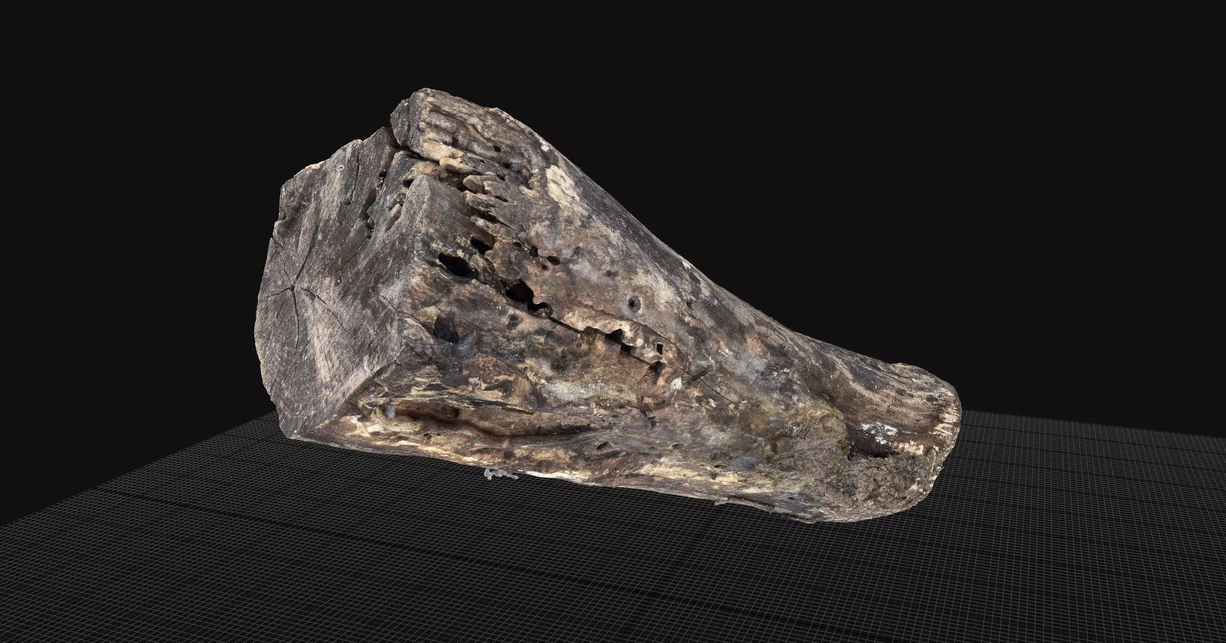 Withered piece of tree wood 3d scan highpoly 3D model_0