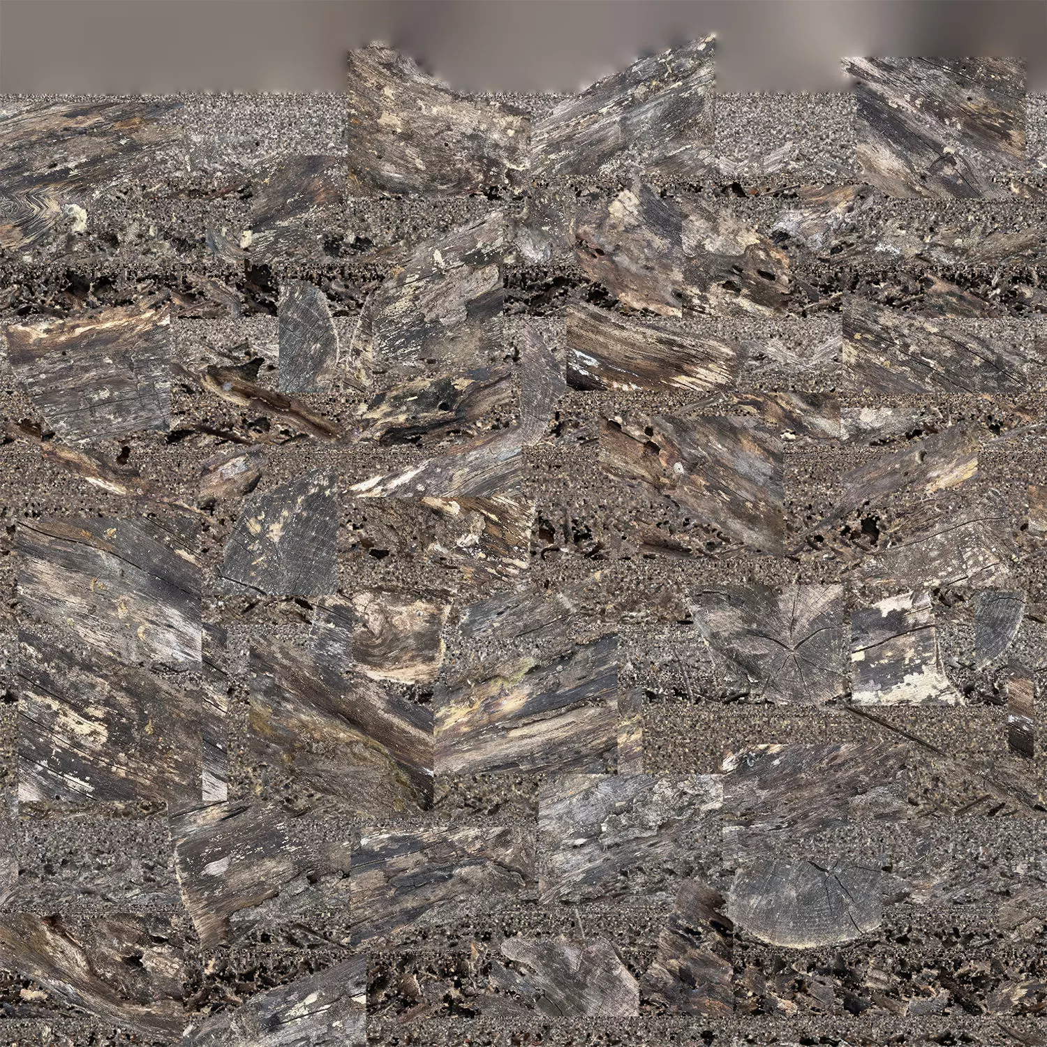 Withered piece of tree wood 3d scan highpoly 3D model_22