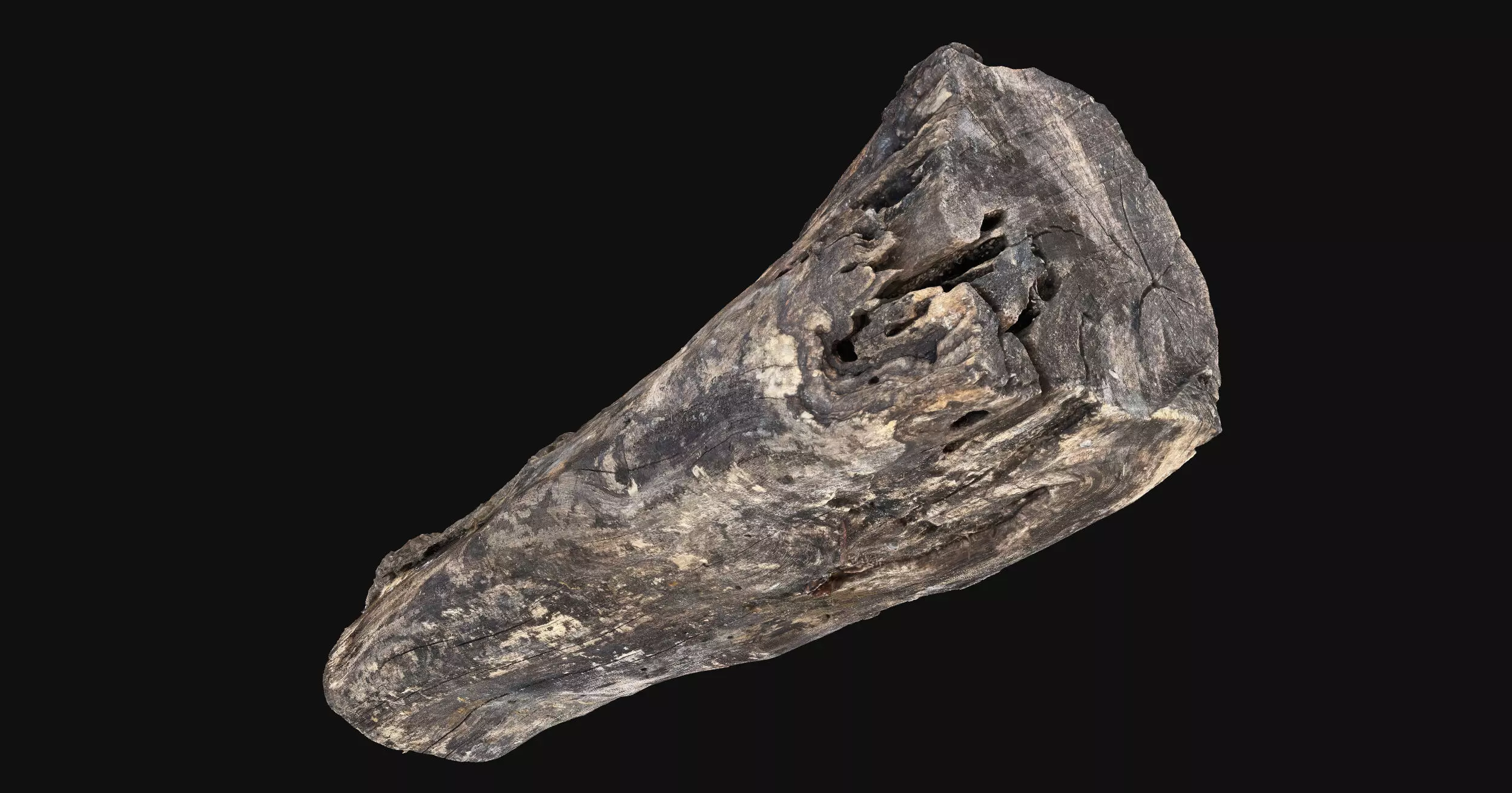 Withered piece of tree wood 3d scan highpoly 3D model_2