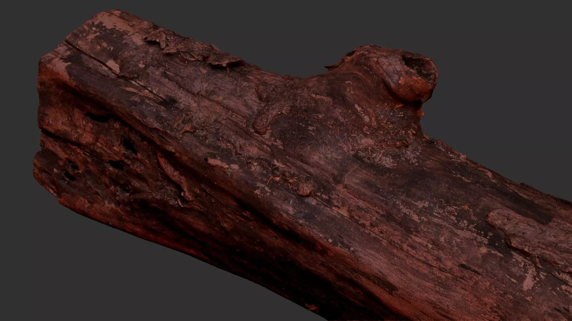 Withered piece of tree wood 3d scan highpoly 3D model_15