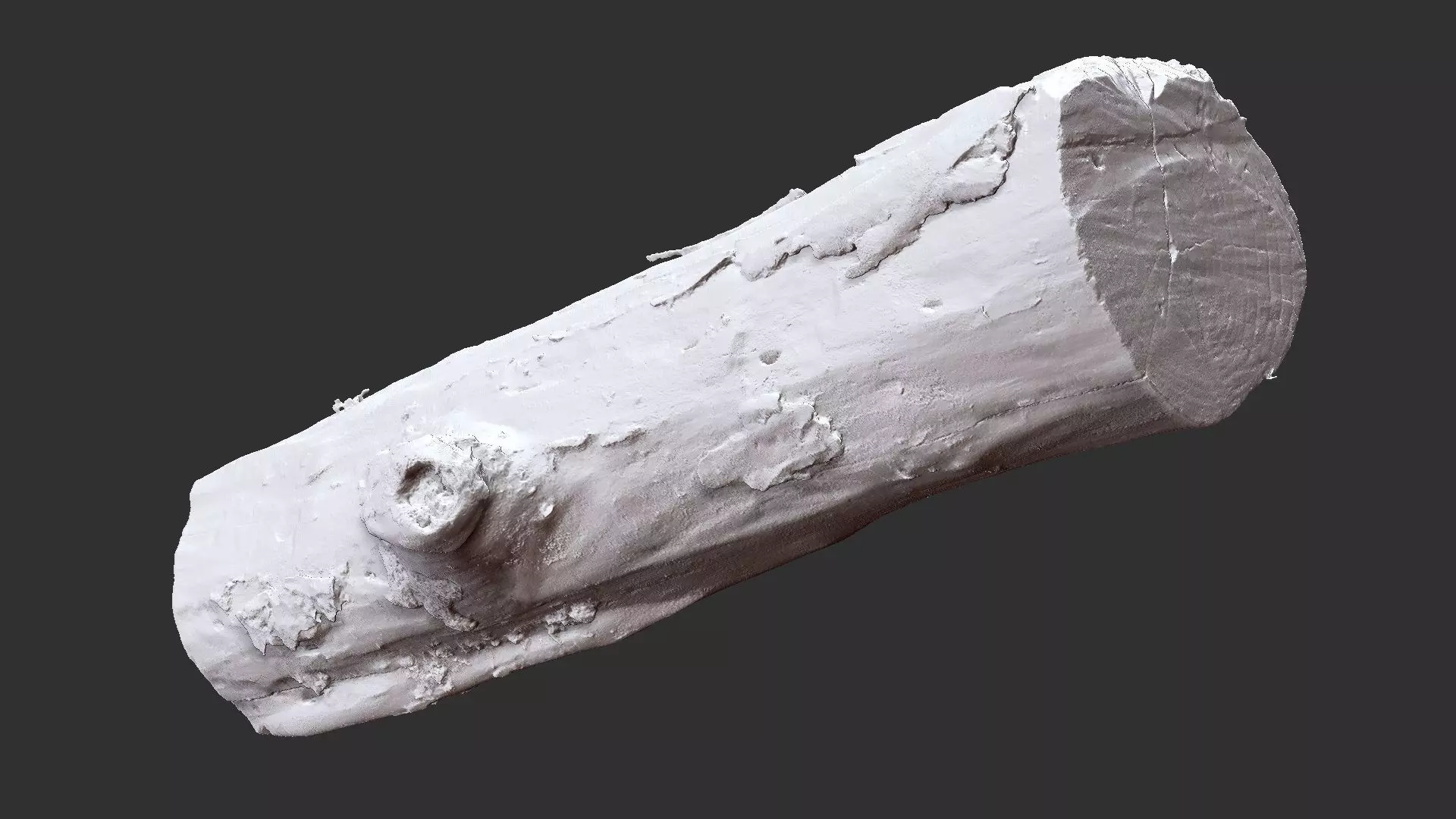 Withered piece of tree wood 3d scan highpoly 3D model_20