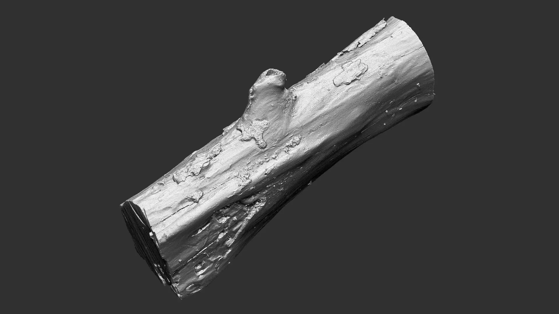 Withered piece of tree wood 3d scan highpoly 3D model_17