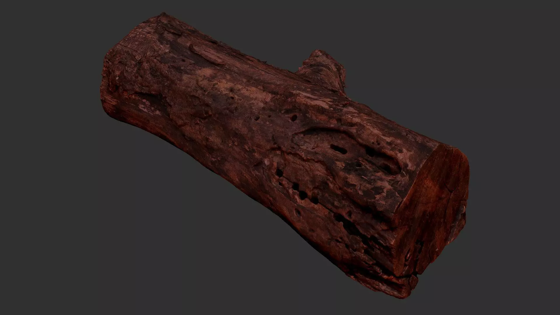 Withered piece of tree wood 3d scan highpoly 3D model_14