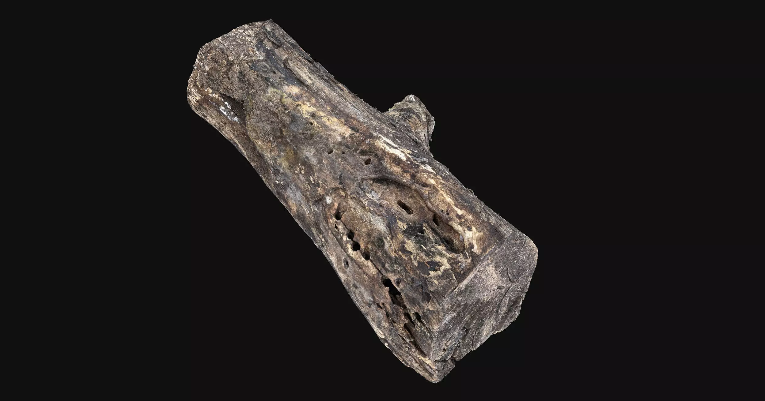 Withered piece of tree wood 3d scan highpoly 3D model_1