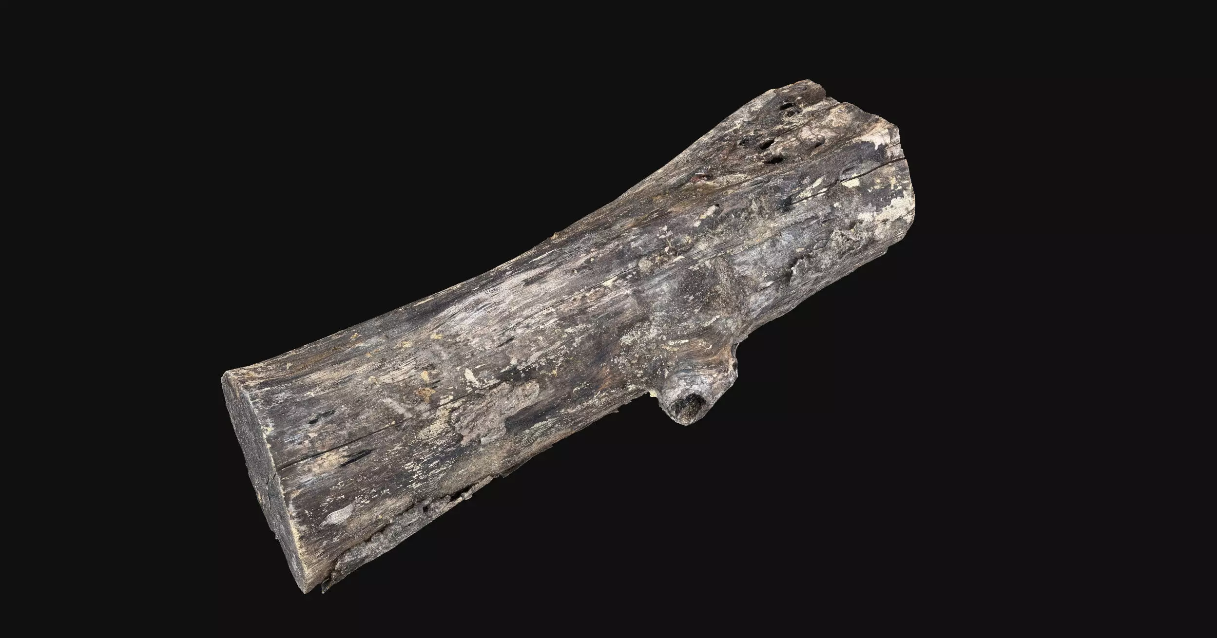Withered piece of tree wood 3d scan highpoly 3D model_7