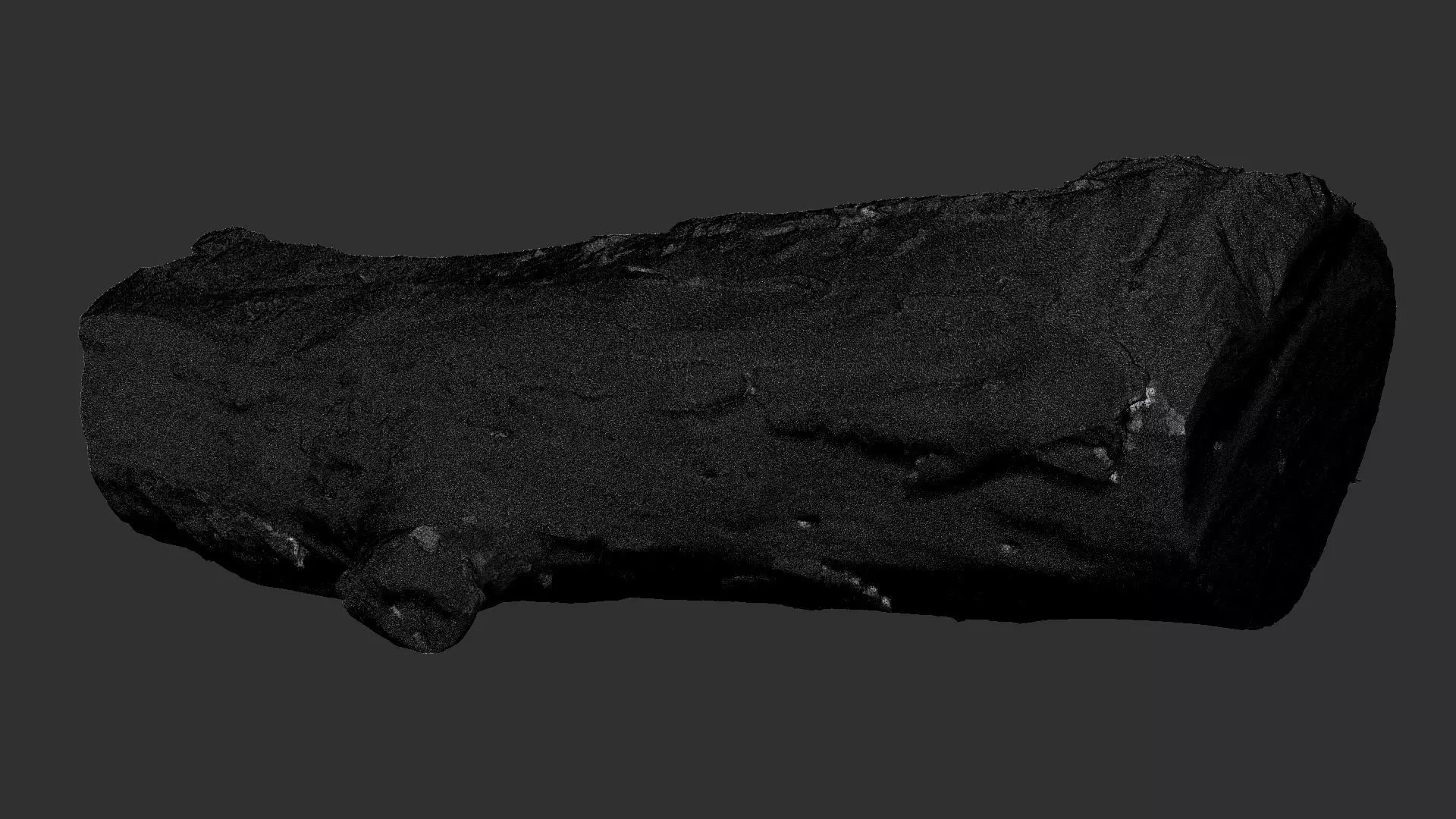 Withered piece of tree wood 3d scan highpoly 3D model_21