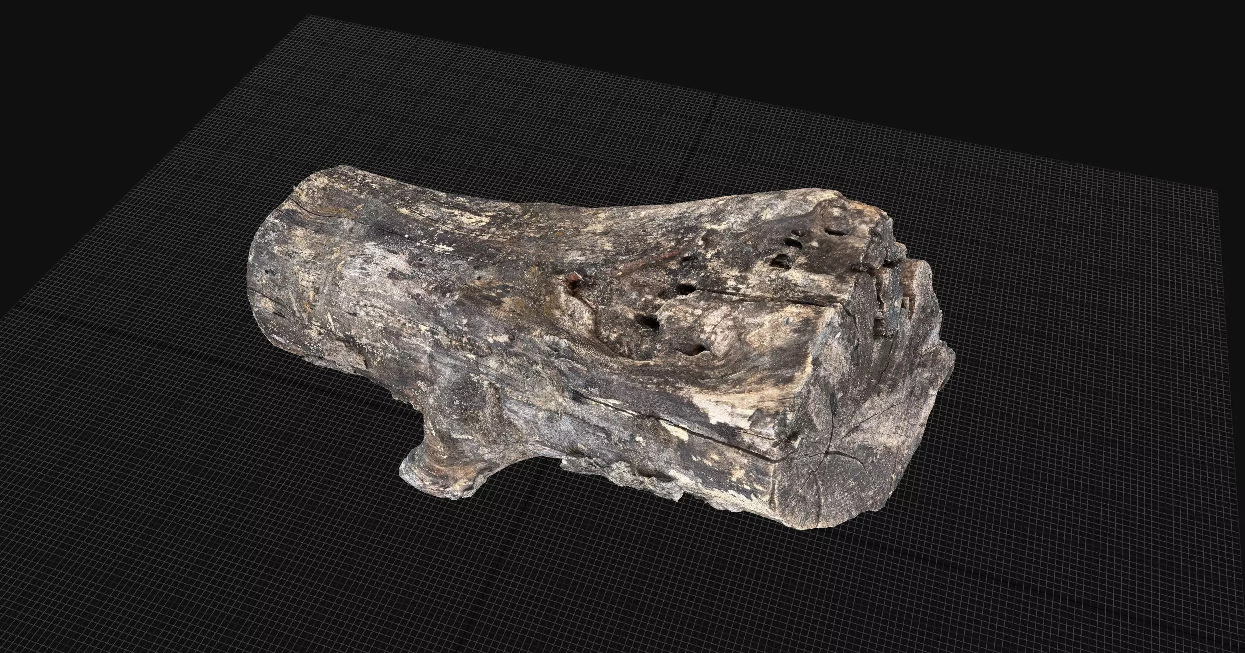 Withered piece of tree wood 3d scan highpoly 3D model_5