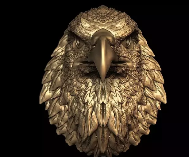 Eagle Head Medal 3D Model  3D print model Free 3D print model_0