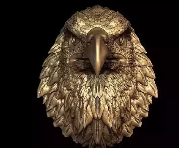Eagle Head Medal 3D Model  3D print model